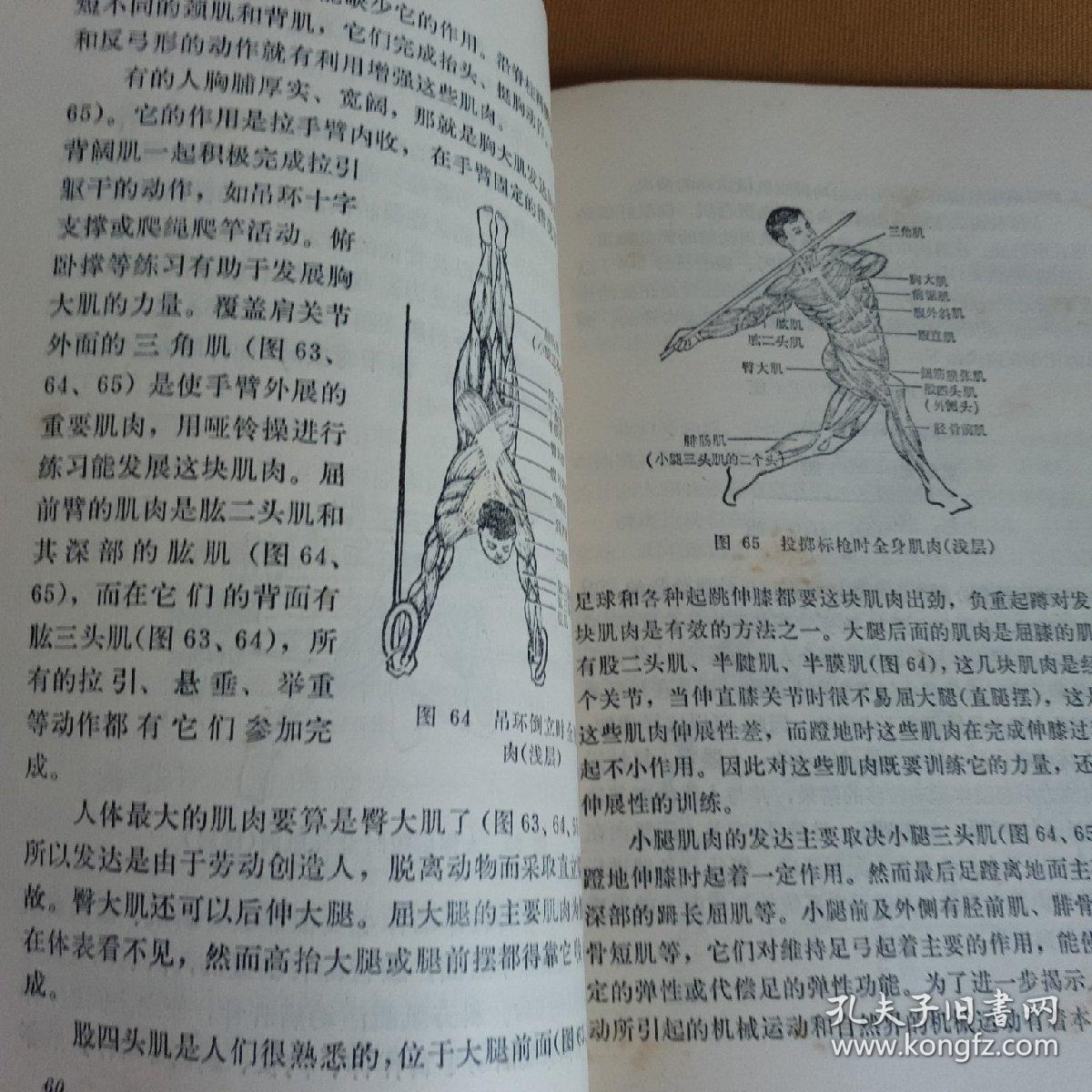 人体运动力学