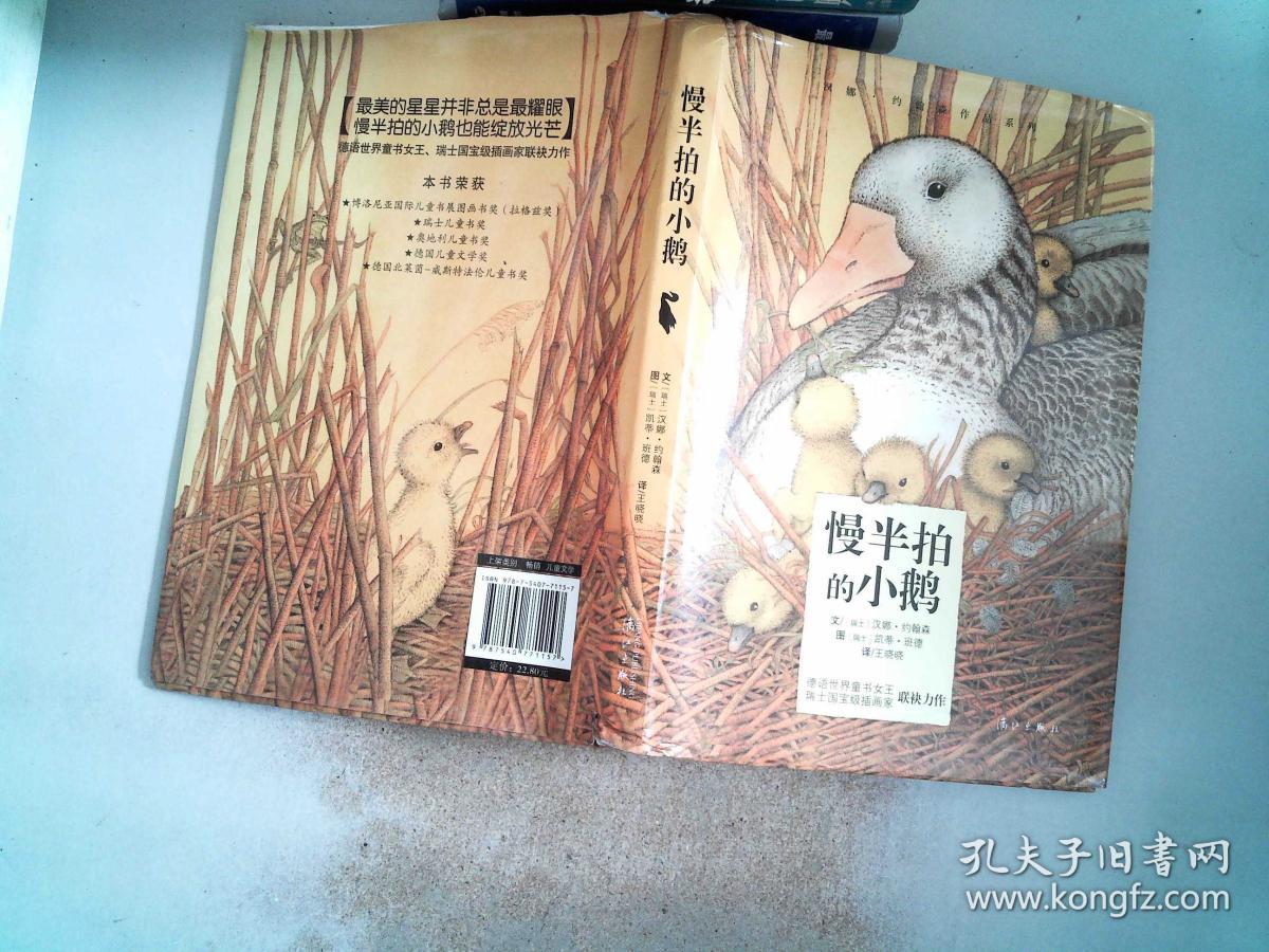 慢半拍的小鹅