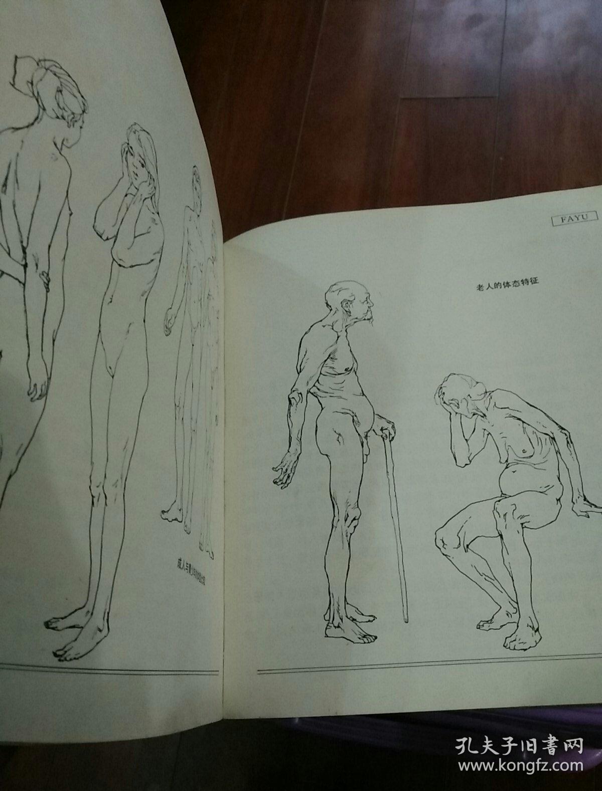 人体造型基础