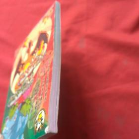 口袋妖怪火焰赤。翠叶绿攻略 (GAME BOY AD