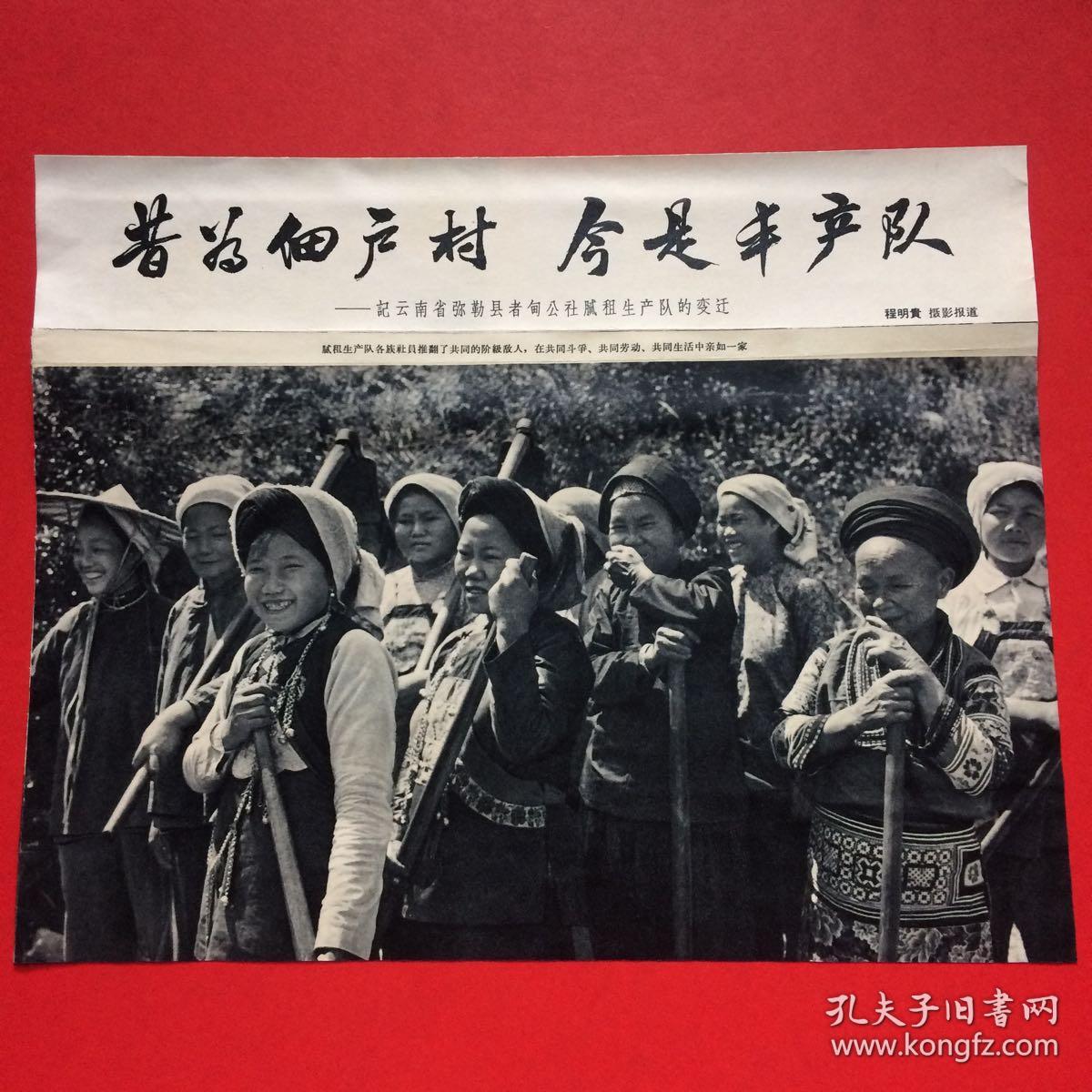 剪报,昔为佃户村 今是本产队---记云南省弥勒县者甸公社腻租生产队的