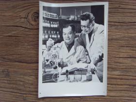 老照片:【※1978年,南京军区总医院心肾科主任