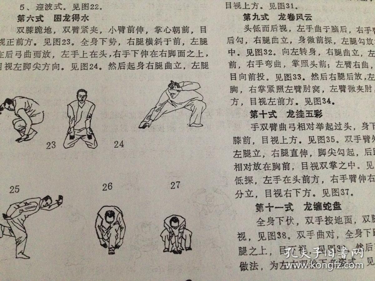 龙形太极十二式【武学资料】