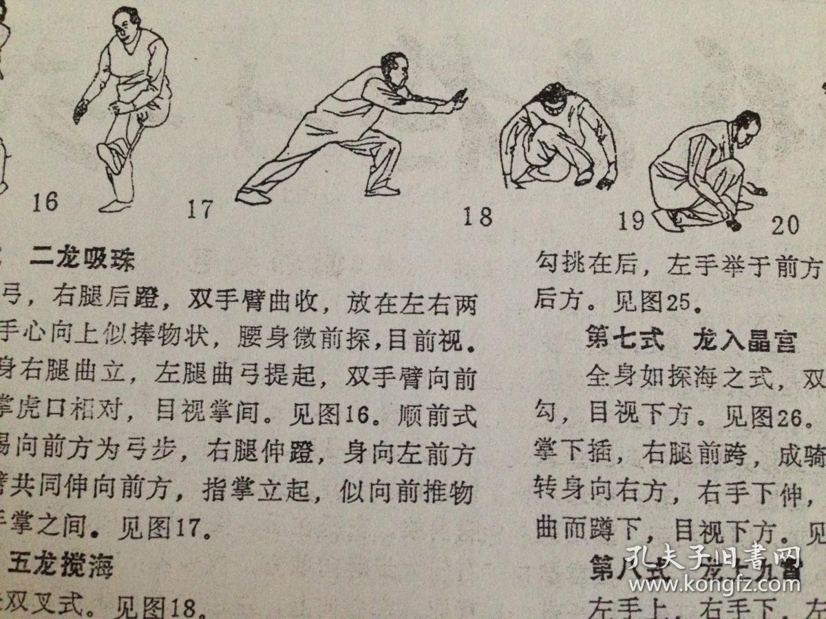 龙形太极十二式【武学资料】