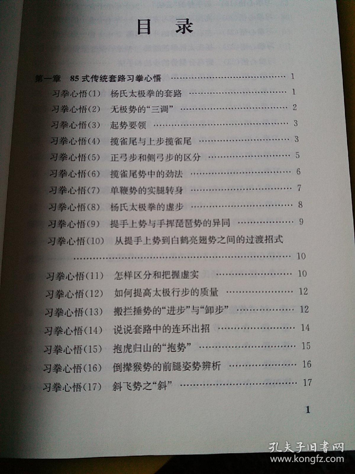 杨式太极拳 杨式太极长拳 太极拳术 85式杨式太极拳意