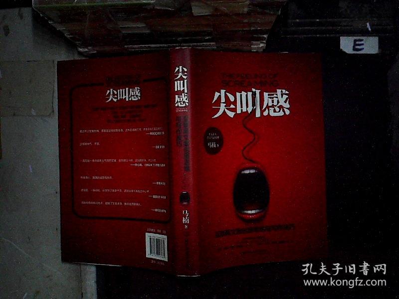 尖叫感:互联网文案创意思维与写作技巧