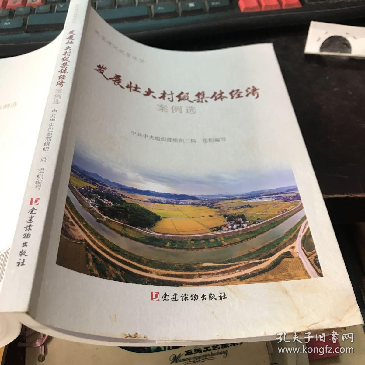 发展壮大村级集体经济案例选
