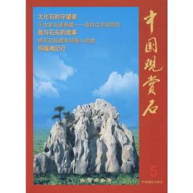中国观赏石5