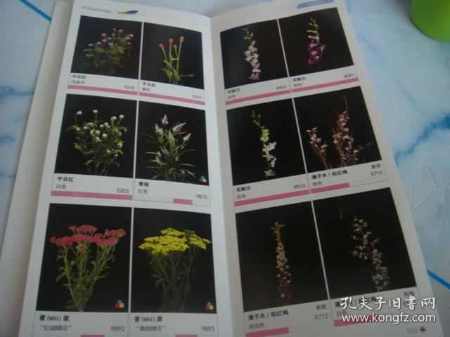 鲜切花品种图册