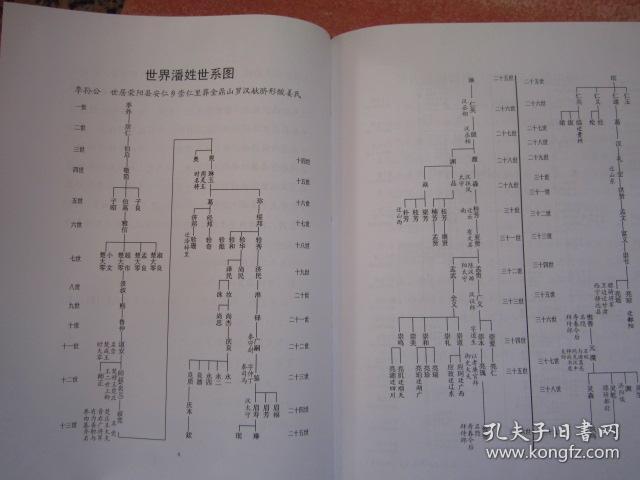 潘氏家族谱群人口_人口普查