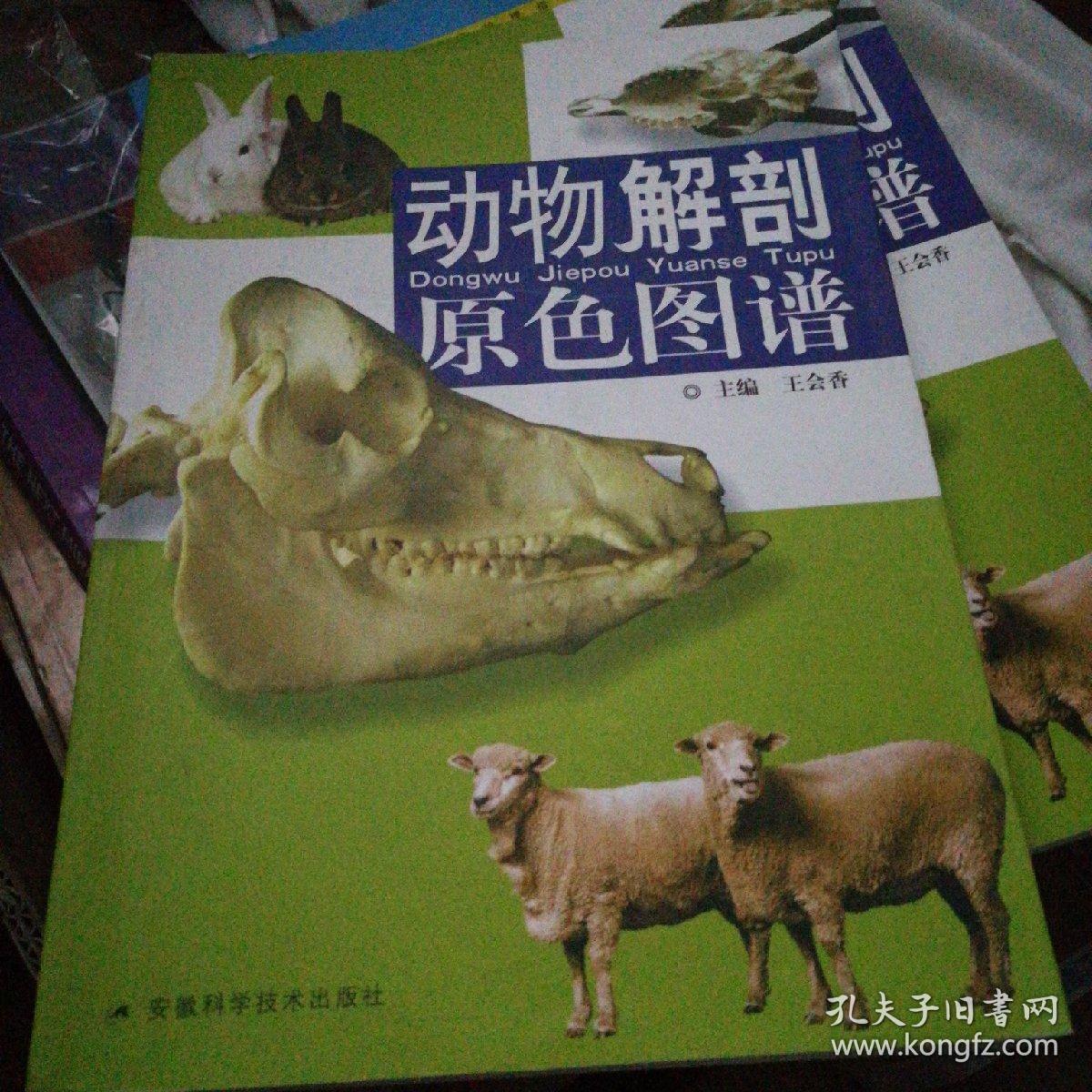动物解剖原色图谱