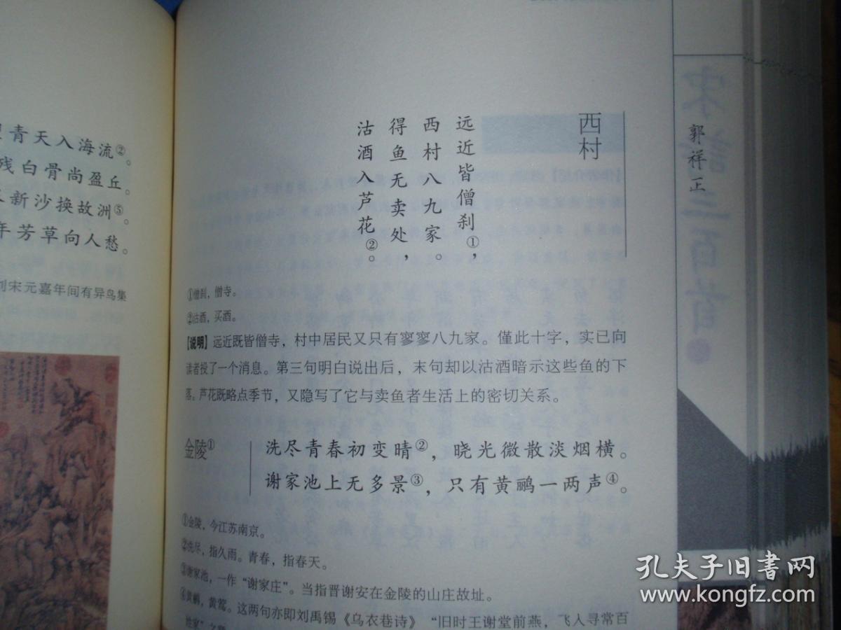 宋诗三百首(中国古典诗词权威注释本)