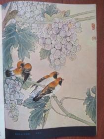 彩版美术插页（单张）喻继高国画《葡萄小鸟》，《梨花晨曲》等