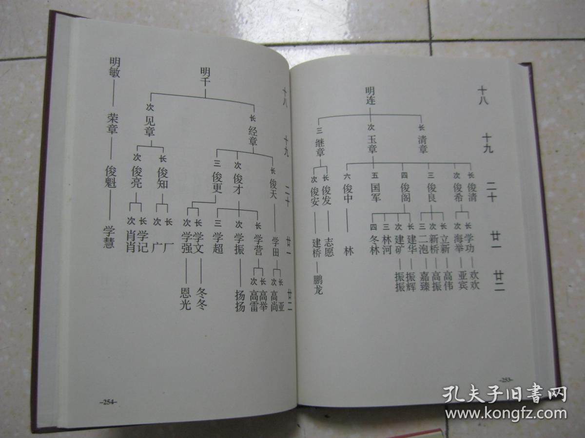 居住在康湾村,黄滩村,康下楼村,康店村,西华县康桥村,北五庄村,聂堤村
