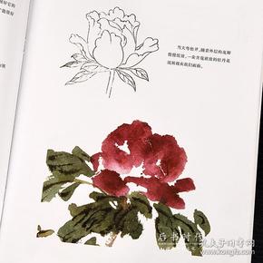 零基础国画入门教程 牡丹 湖南美术出版社 国画入门 绘画自学零基础