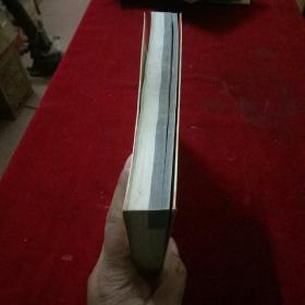 新绝代双骄2 完全攻略本