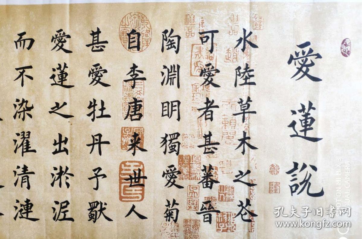 【保真】国展名家靳相然楷书精品:周敦颐《爱莲说》