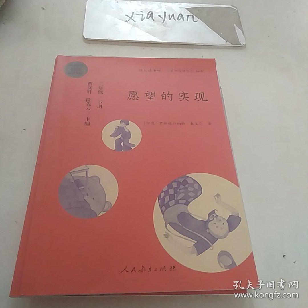 愿望的实现二年级下册