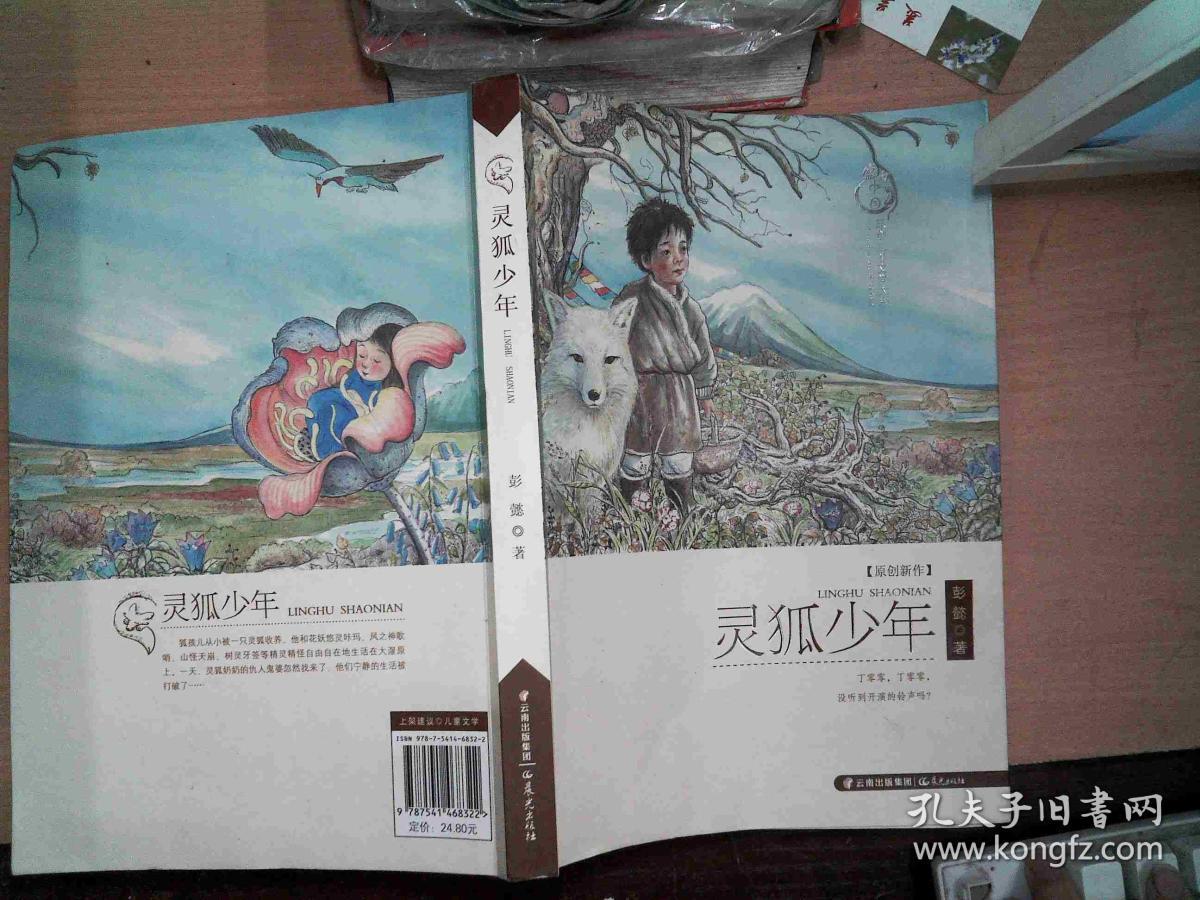 灵狐少年