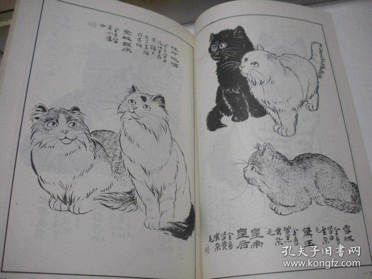 百猫谱 天津人民美术出版社 1990年2印,16开.
