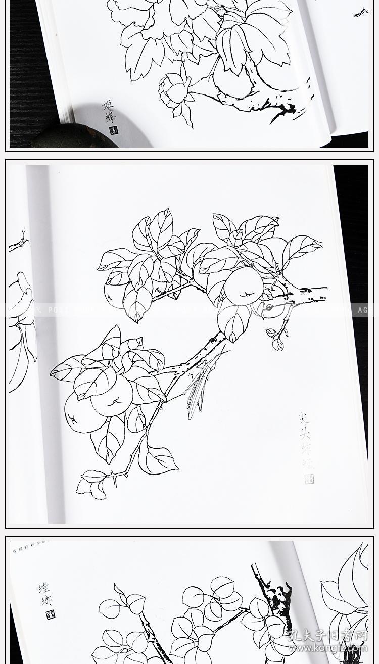 线描轻松学 线描草虫 化学工业出版社 国画入门 绘画自学零基础参考书