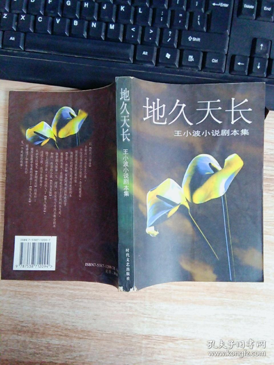 地久天长:王小波小说剧本集