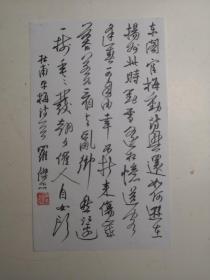 浙江宁波余姚- 书法名家 罗杰忠 钢笔书法(硬笔书法)书法 1件 出版