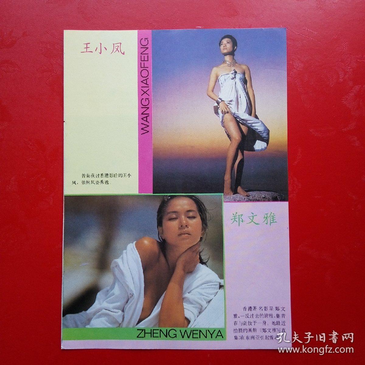 王小凤郑文雅背面戴安莲恩彩页一张d17