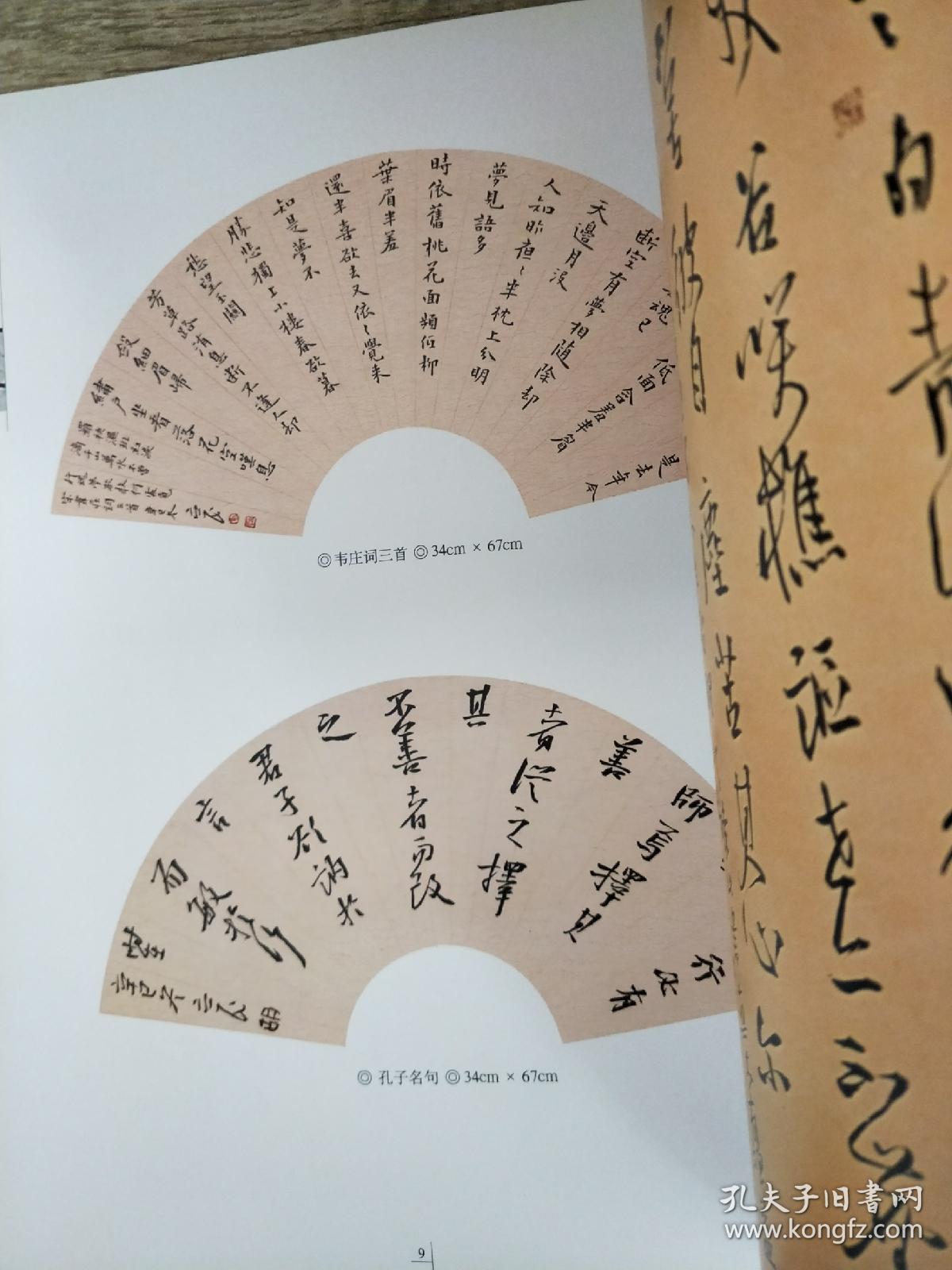 胡立民书法精品集