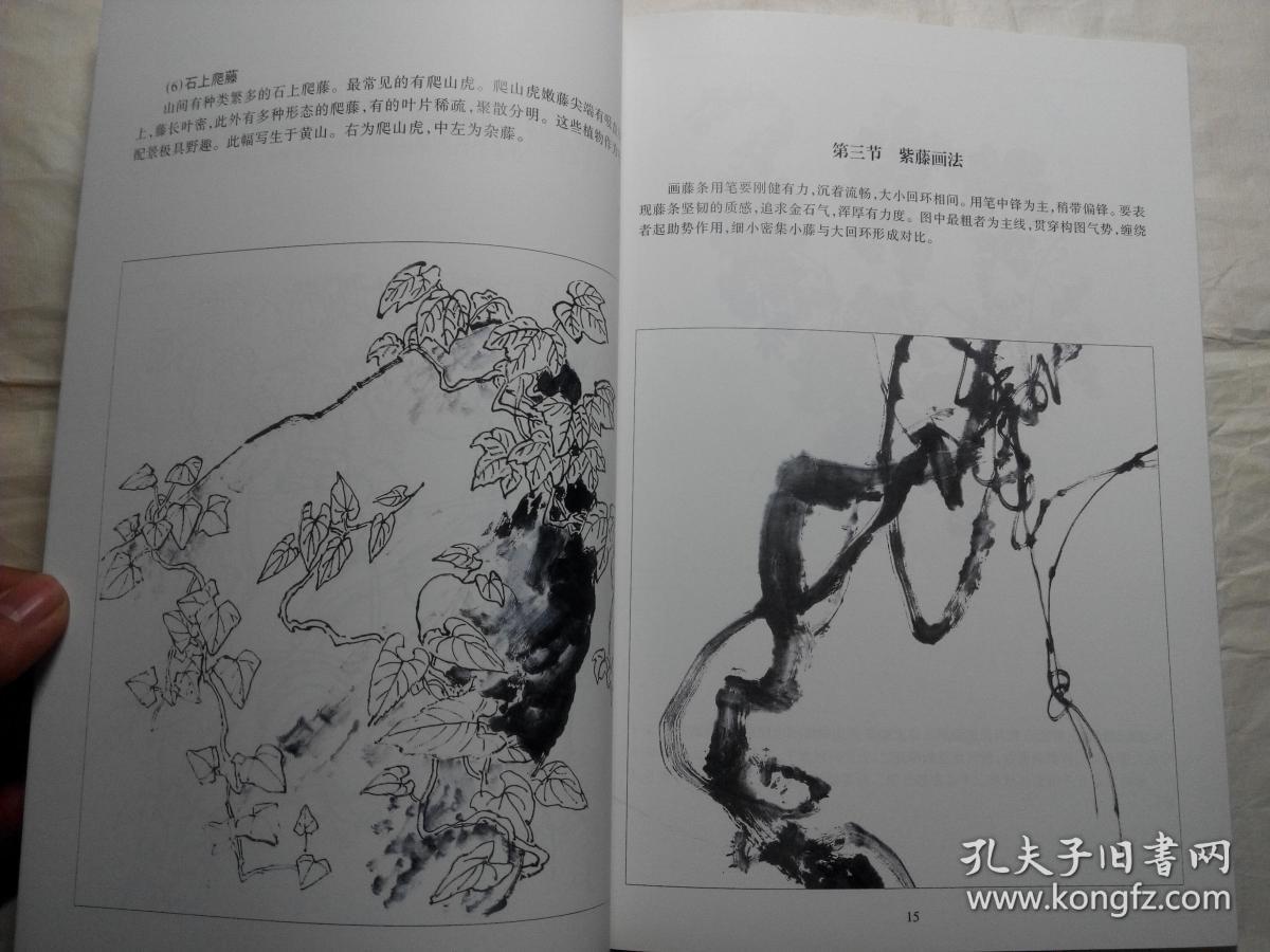 画藤蔓要诀