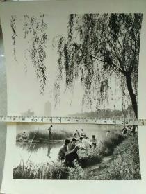 北京大学学生未名湖畔照片。