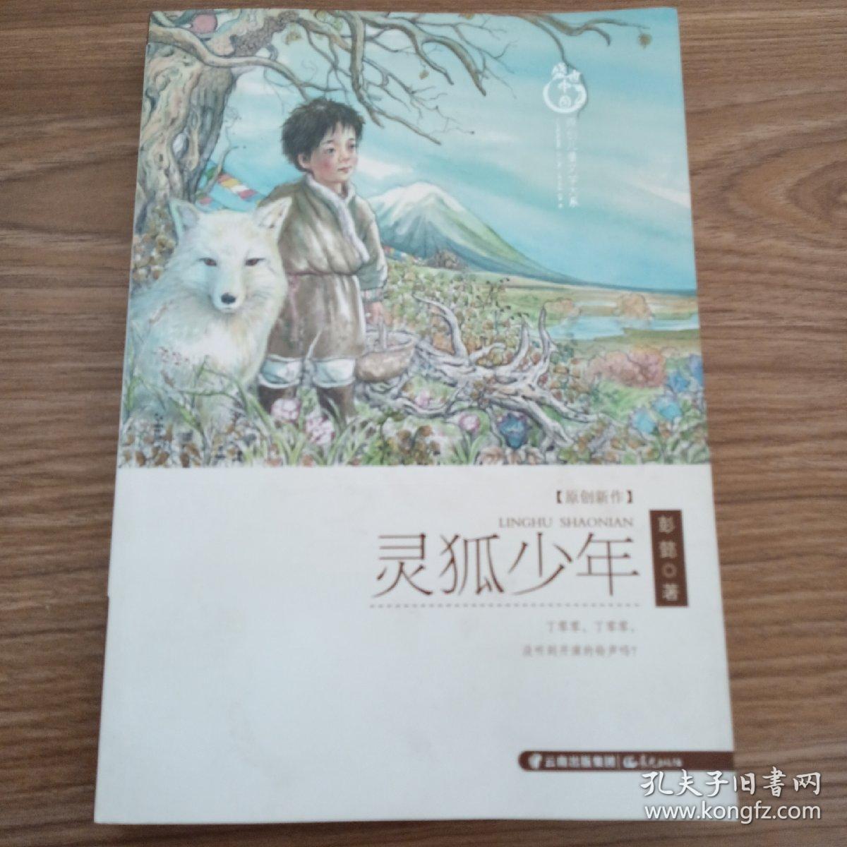 灵狐少年