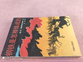 钢铁是怎样炼成的 （品相如图）