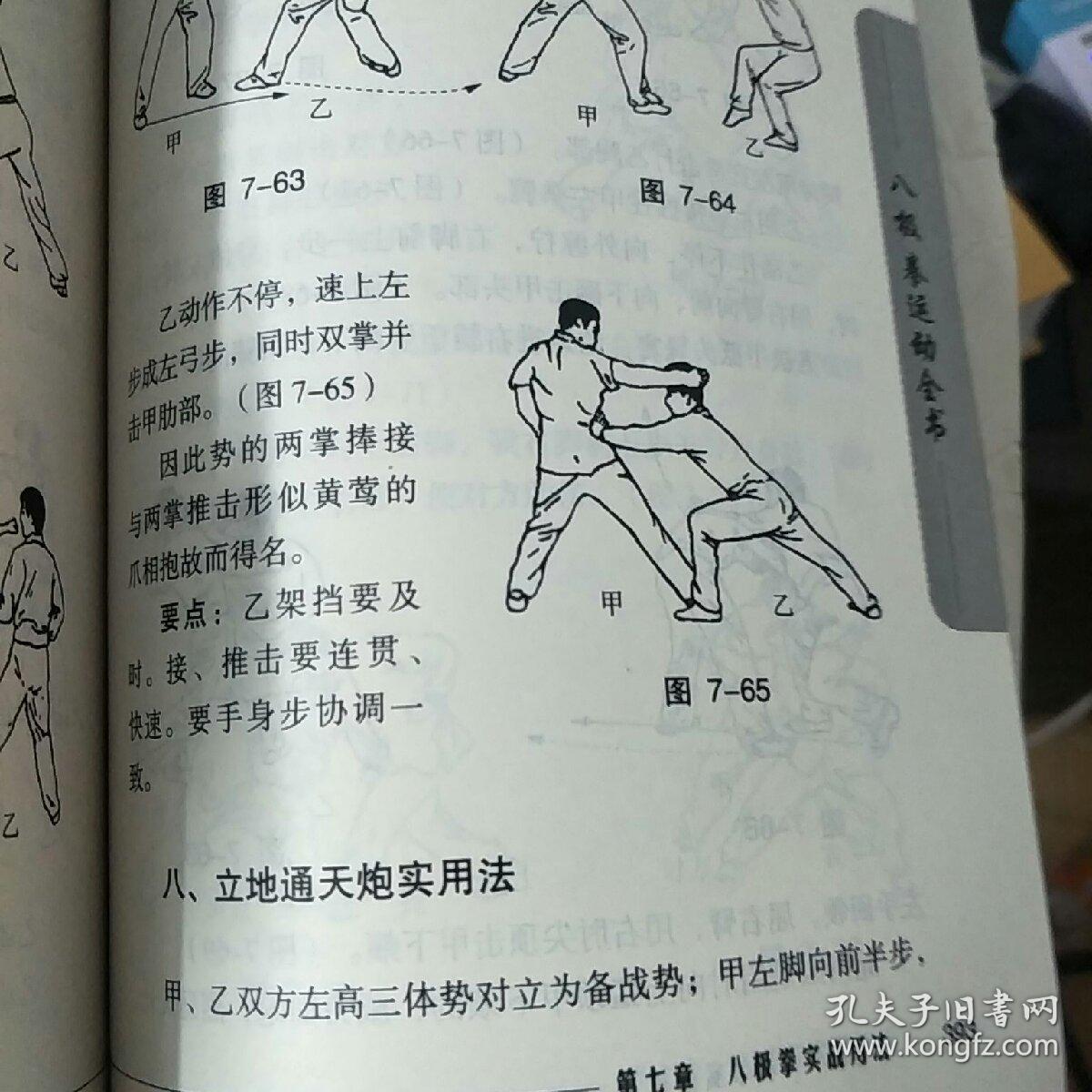 八极拳运动全书
