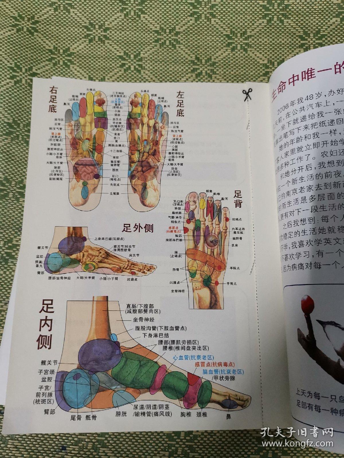 足语字典--足部反射疗法 2016版 案例篇 两本合售