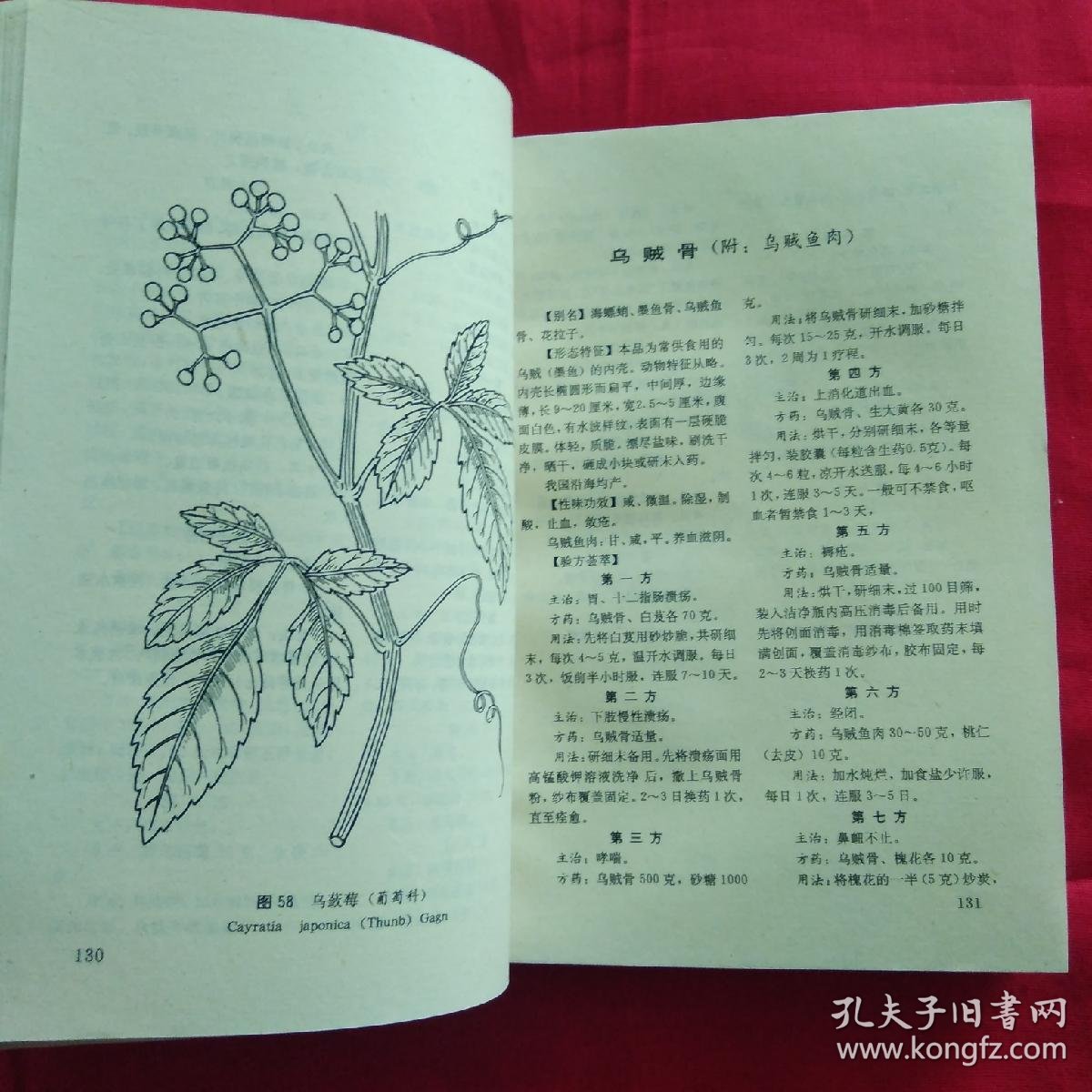 中国民间百草良方