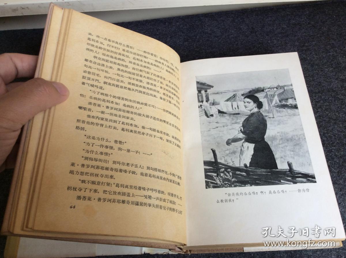 外国文学 【静静的顿河(一)】人文老版 布面精装 精美