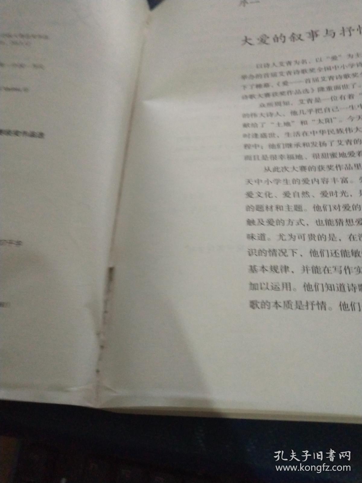 爱首届艾青诗歌奖全国中小学诗歌大赛获奖作品选