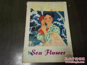 《Sea Flower》