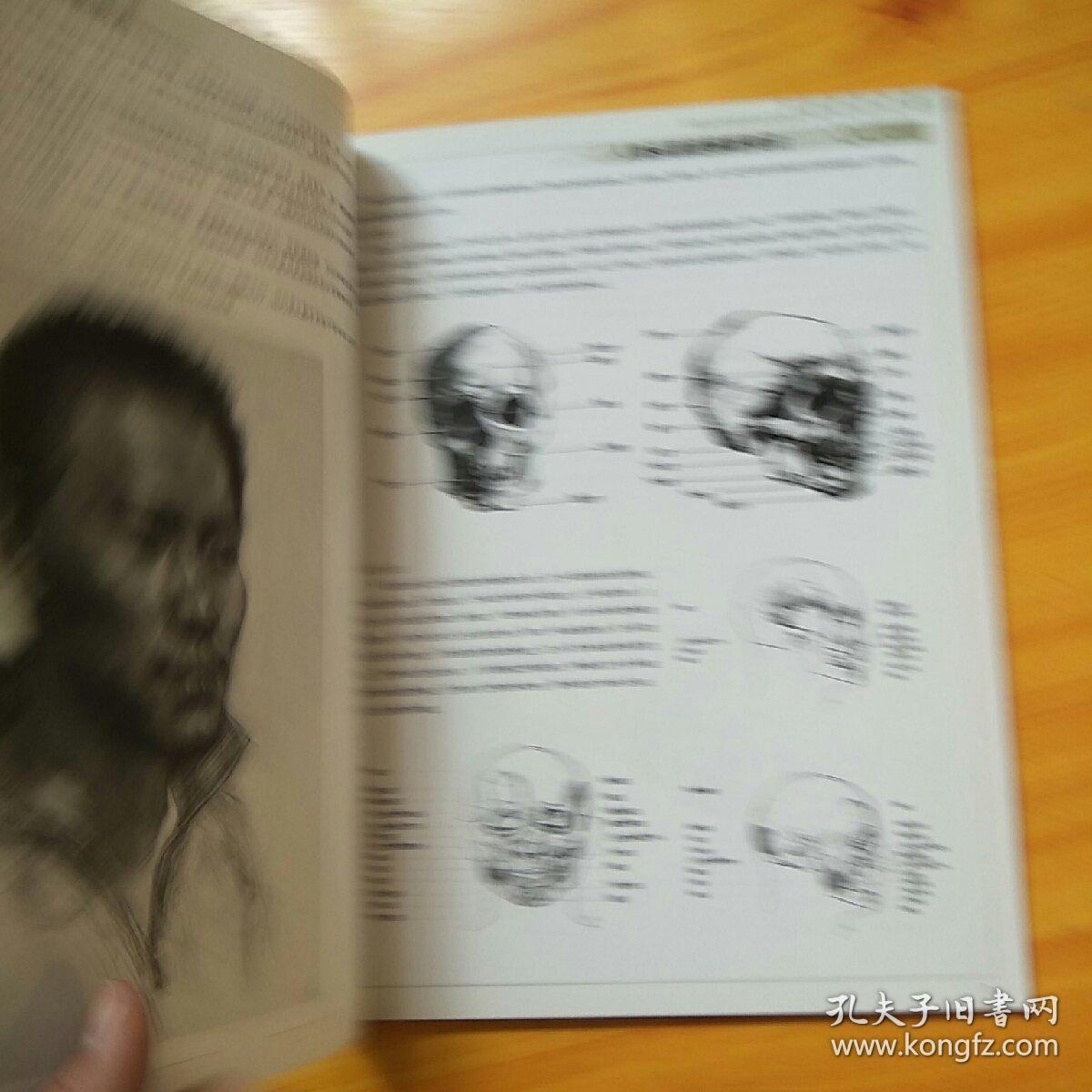男青年3/4的侧面像画法 男青年的侧面像画法 中年人的侧面像画法 老年