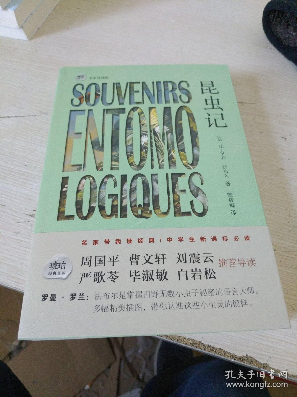 317 蟹蛛/ 327 纳博讷狼蛛/ 333 圆网蛛/ 347 迷宫蛛/ 363 克罗多蛛
