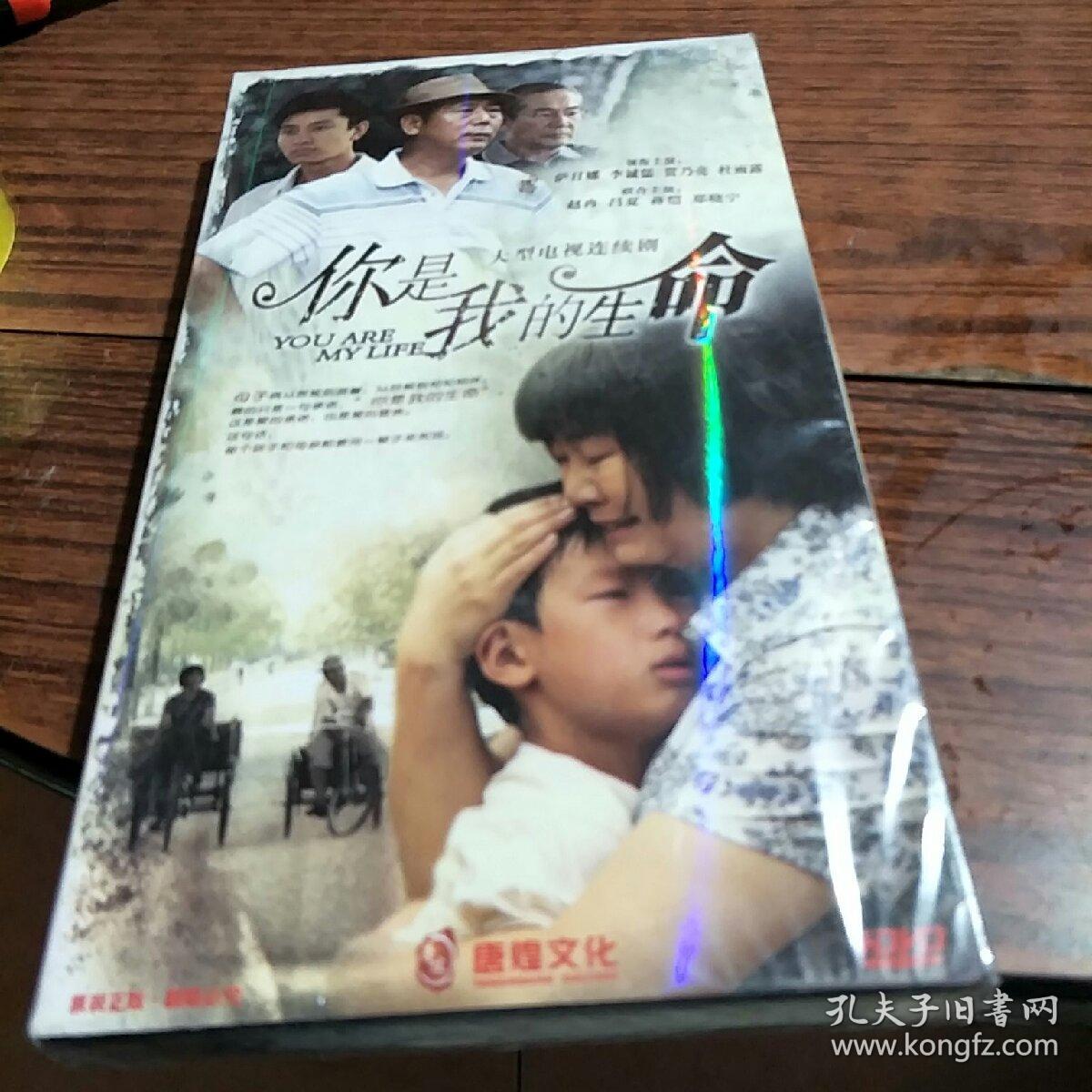 大型电视连续剧 你是我的生命