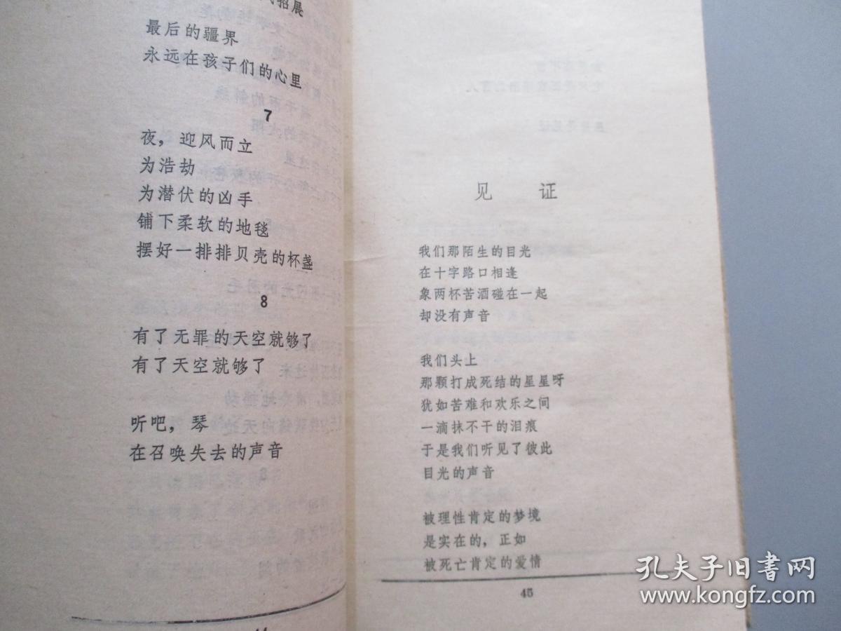 北岛诗选
