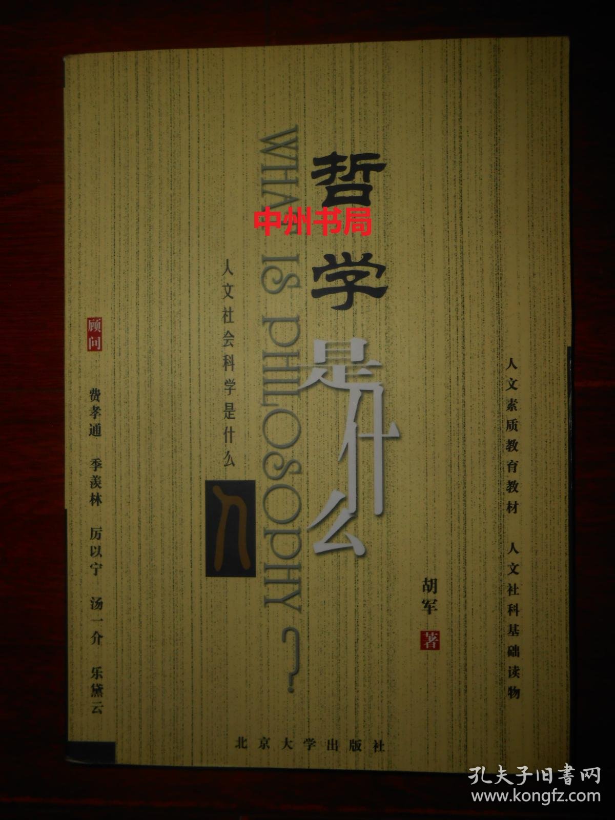 《人文社会科学是什么》丛书:哲学是什么?1版