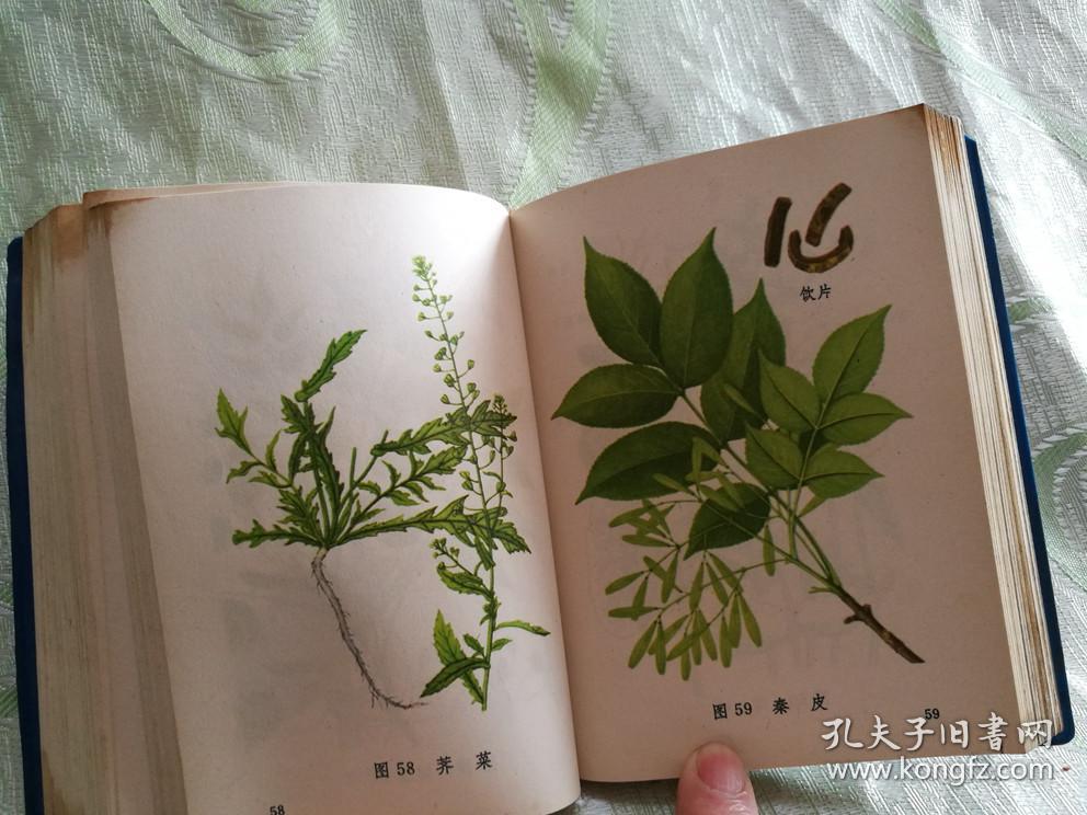 常用中草药图谱64开附228彩图64开688页396页文字228图片64页目录