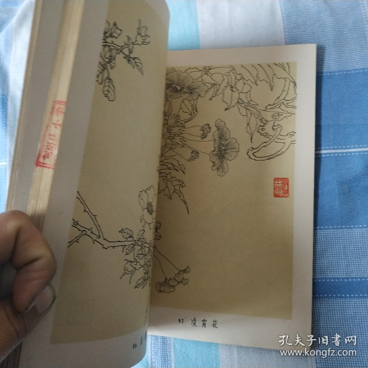 姜毅然白描花卉集