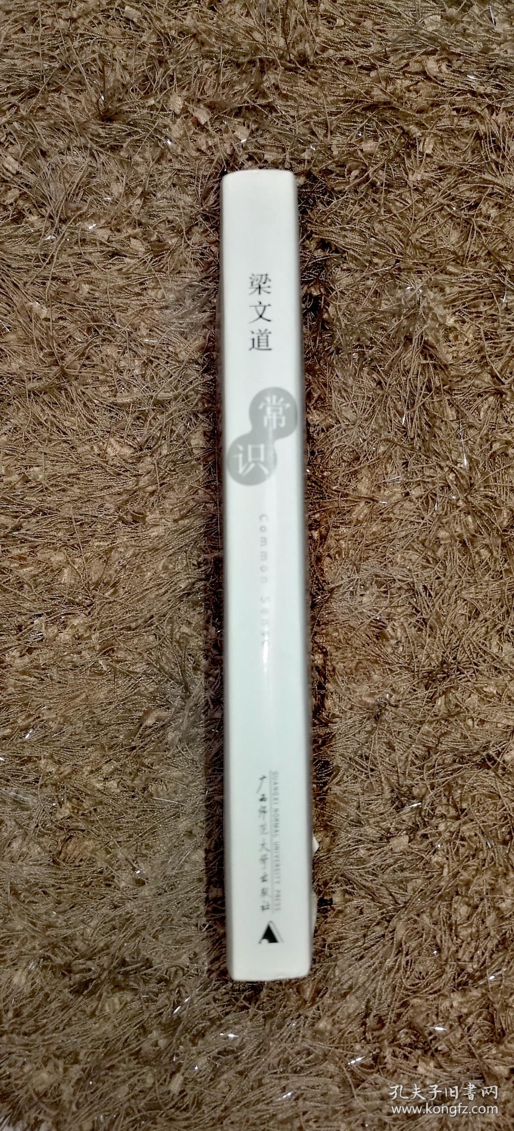 常识 梁文道先生两年时评文字结集 2009年一版近20次重印