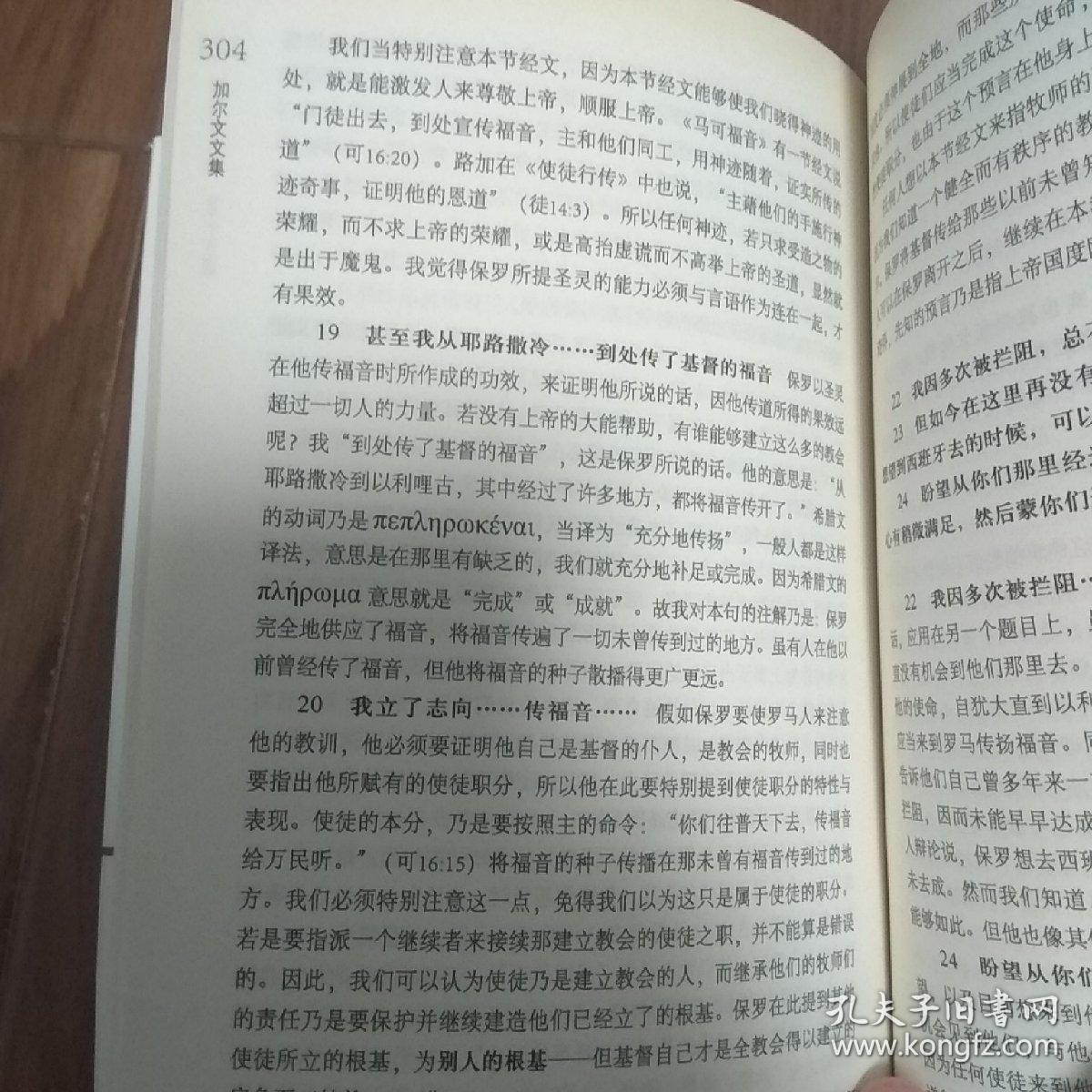 罗马书注释:加尔文文集