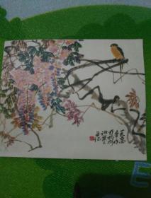 1956年诸乐三紫藤燕子老画片一张！