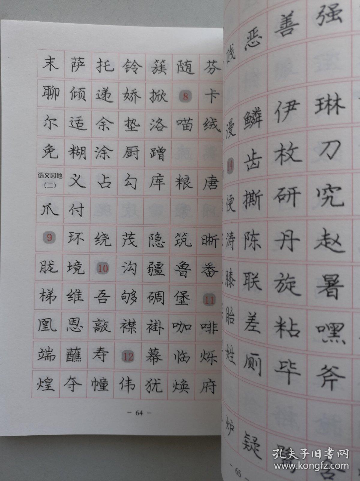 庞中华硬笔书法经典字帖:庞中华楷书规范字帖